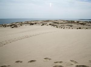 Описание курорта Нида: фото, пляжи, что посмотреть, цены, расстояния