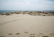 Описание курорта Нида: фото, пляжи, что посмотреть, цены, расстояния