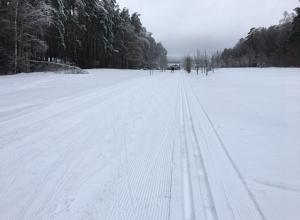 Esquiar no parque Izmailovo Área de recreação 